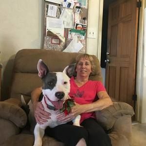 Meet your Posher, Lynn